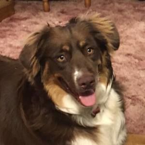 Meet your Posher, Jackie